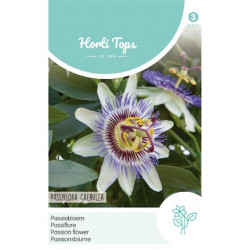 Passiflora / Passiebloem klim