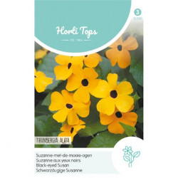 Thunbergia / Suzanne met de mooie ogen