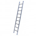 Enkele ladders