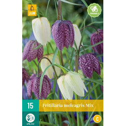Fritillaria Meleagris mix (15 st.)