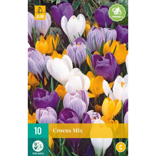 Crocus Grootbloemig Mix (10 st.)