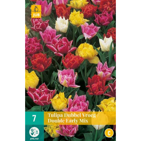 Tulp Dubbel vroeg Mix (7 st.)