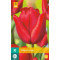 Tulp Escape (10 st.)