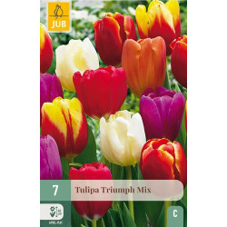 Tulp Triumph Mix (7 st.) Tulp Triumph Mix (7 st.)