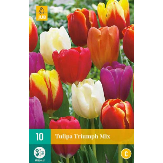 Tulp Triumph Mix (10 st.)