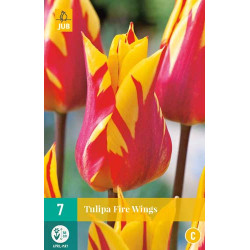 Tulp Fire Wings (7 st.) Tulp Fire Wings (7 st.)