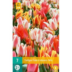 Tulp Fun Colours (7 st.) Tulp Fun Colours (7 st.)