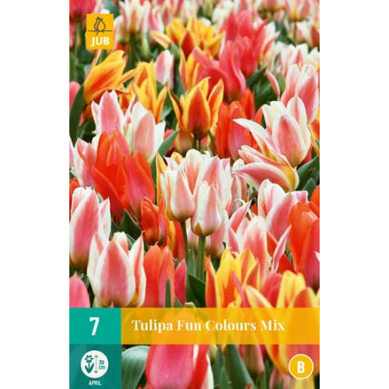 Tulp Fun Colours (7 st.)