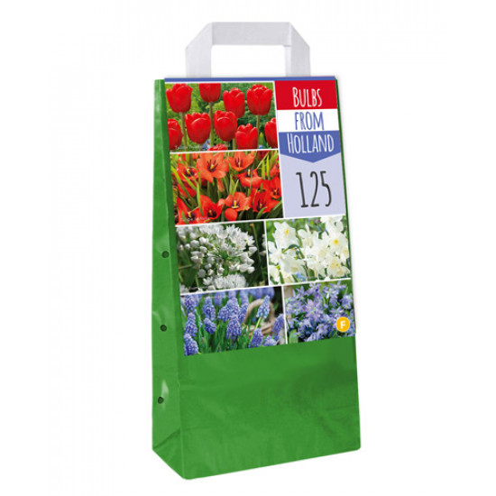 Draagtas bulbs from holland 125 stuks