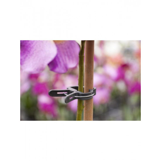 Nature plantenclip 24 mm (10 st.) 6040438