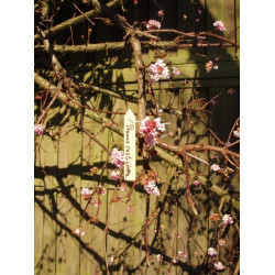 Nature plantetiketten hout met ijzerdraad 10 cm (15 x) 6020313