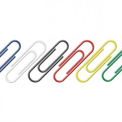 Paperclips gekleurd 125 stuks