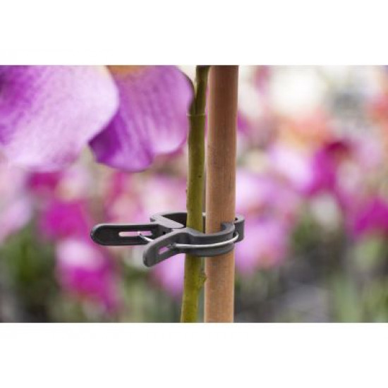 Nature plantenclip 35 mm (10 x) 6040439