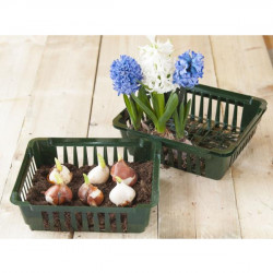Nature bollenplantbakje 7,5 x 25 x 21 cm (3 x) 6020103