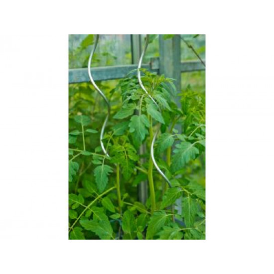 Nature tomatensteun spiraalvormig verzinkt 180 cm x 6,8 mm 6040111