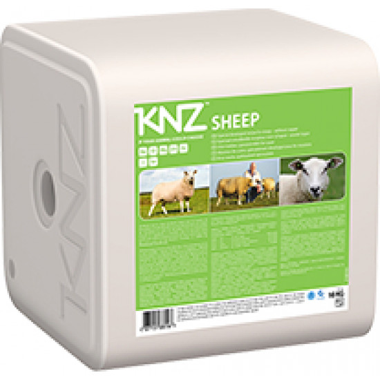 Liksteen Schaap KNZ (10 kg)