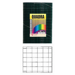 Gaas (Quadra) groen 19,0 x 19,0 x 1000 x 1,1 mm (25 mtr)