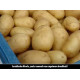 (80020) Pootaardappels Anais (28/35) (leverbaar vanaf 1 maart) (80020) Pootaardappels Anais (28/35) (leverbaar vanaf 1 maart)