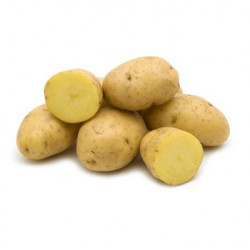 (80001) Pootaardappels Frieslander 28/35 (leverbaar vanaf 1 maart)