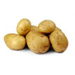 (80009) Pootaardappels Eigenheimer 28/35 (leverbaar vanaf 1 maart)