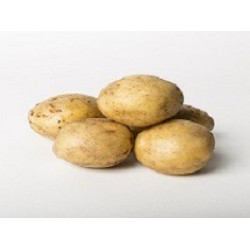 (80011) Pootaardappels Sante 28/35 (leverbaar vanaf 1 maart)