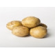 (80011) Pootaardappels Sante 28/35 (leverbaar vanaf 1 maart) (80011) Pootaardappels Sante 28/35 (leverbaar vanaf 1 maart)