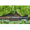 Gardena Micro drip basisapparaat 1000 (13333)