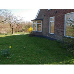 Graszaad schaduwgazon FinesseMaster (500 gram)