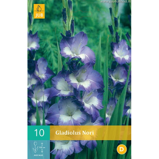 (60920) Gladiolen Nori (blauw) (10 st.)