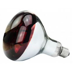 Biggenlamp infrarood rood 150 W hardglas