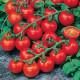 Tomaten Bartelly F1 (Biologisch) (71948)