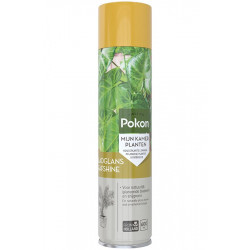 Pokon bladglans (600 ml.)