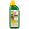 Pokon orchidee voeding (250 ml.)