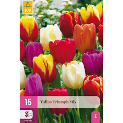 Tulp Triumph Mix (15 st.) Tulp Triumph Mix (15 st.)