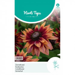 (46740) Zonnehoed Sahara (46740) Zonnehoed Sahara