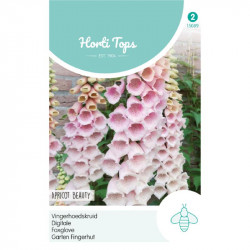 (50890) Vingerhoedskruid Apricot Beauty