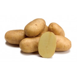 (80016) Pootaardappels Twister 30/40 Biologisch 2,5 kg. (leverbaar vanaf 1 maart)