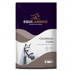 Equilannoo condition cube paardenvoer (20 kg)