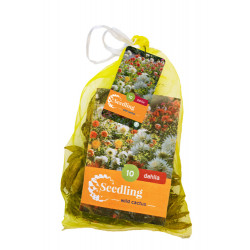 Dahlia Cactus Mix (10 st.) Dahlia Cactus Mix (10 st.)