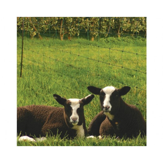 Koltec schapennet groen 84 cm. 2 pins (50 meter)