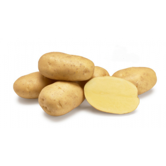 (80025) Pootaardappels Agria 28/35
