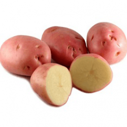 (80026) Pootaardappels Desiree 28/35