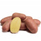(80027) Pootaardappels Alouette 28/35 Biologisch 2,5 kg.