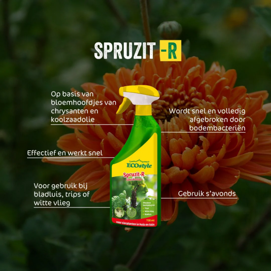 Ecostyle Spruzit gebruiksklaar 750 ml.