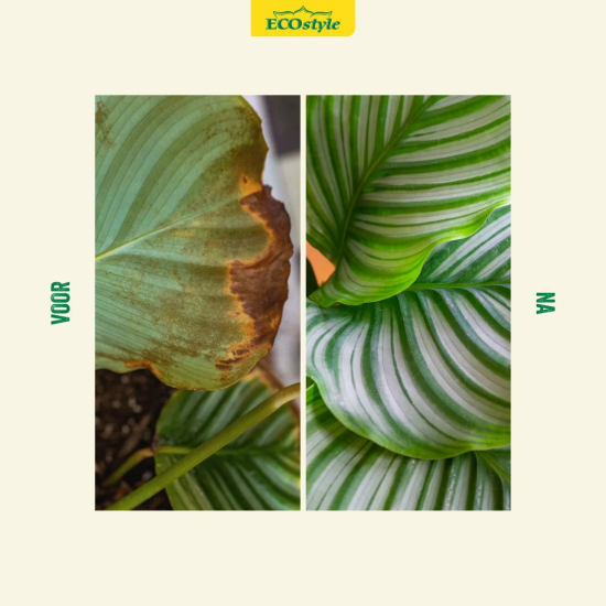 Ecostyle Spruzit gebruiksklaar 750 ml.