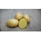 (80024) Pootaardappels Vitabella 28/35
