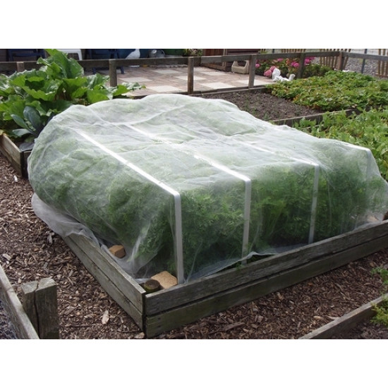 Ornata 80 fijnmazig insectengaas 2 x 5 mtr Ornata 80 fijnmazig insectengaas 2 x 5 mtr