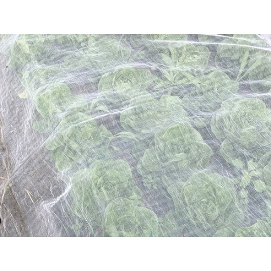 Ornata Plus 135 Koolvliegengaas 2x3 mtr. maaswijdte 1,35x1,35 mm. Ornata Plus 135 Koolvliegengaas 2x3 mtr. maaswijdte 1,35x1,35 mm.