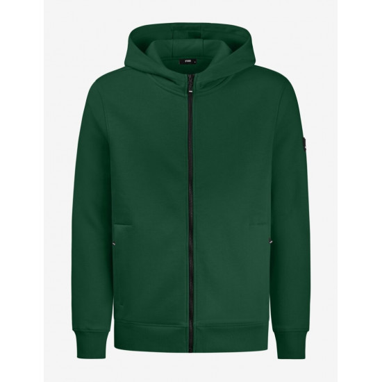 Quentin, sweatjas met capuchon, groen