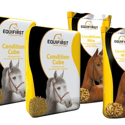 Equifirst condition cube paardenvoer (20 kg)